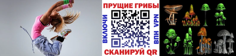 Купить где  Надым  Псилоцибиновые грибы Psilocybe 
